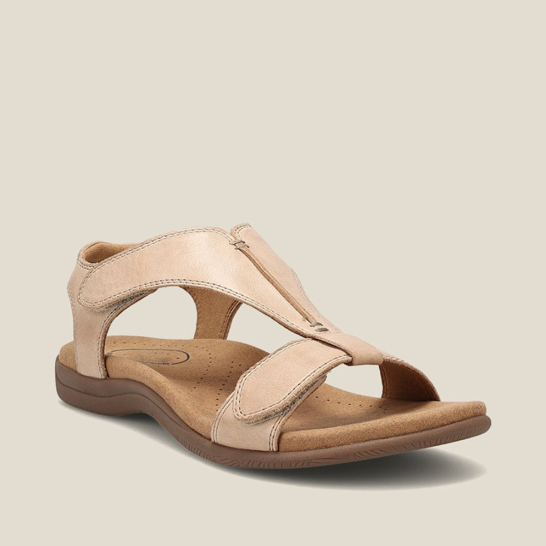 Beige / 35