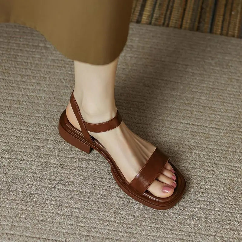 Marron / 38